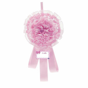 Chicco - Annuncio nascita fiocco rosa